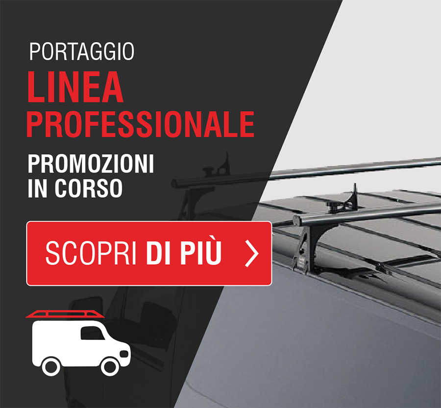 portaggio linea professionale